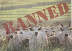 brazilian-beef-banned